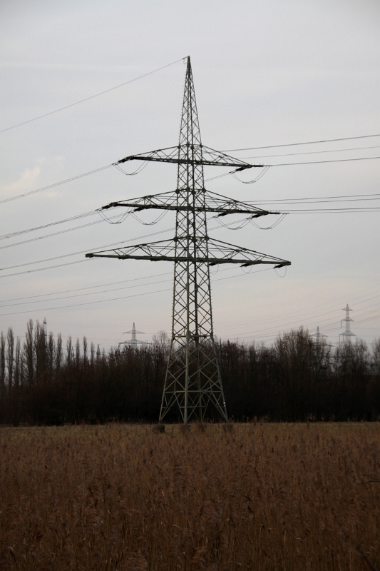 Strommast im Feld.JPG - Strommast am Gersteinwerk in Werne-Stockum
